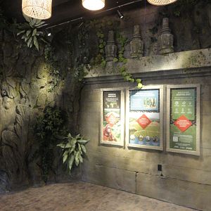 Elevator Lower Lobby Educational Displays