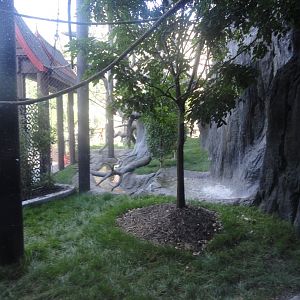 Siamang Exhibit Side, Inside Viewing Window
