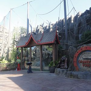 Siamang Exhibit