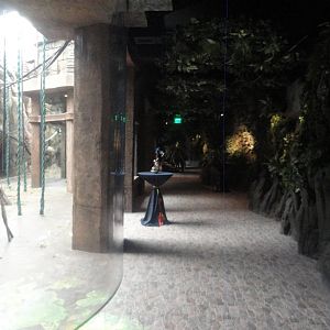 Hubbard Orangutan Forest Indoor Hallway Example