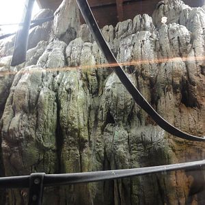 Running Water over rocks to create waterfall into pool
