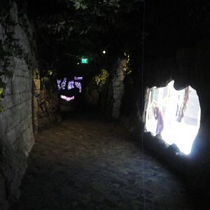 Hallway with Educational Movie Screens
