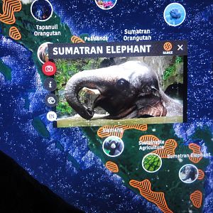 Touchscreen Example Graphics