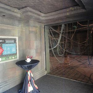 Exit lobby with Siamang Indoor Holding Viewing