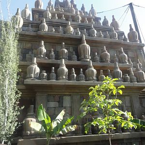 Hubbard Orangutan Forest Temple - Siamang Holding
