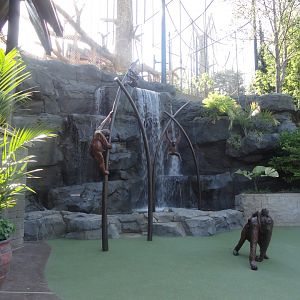 Renovated Claire's Falls