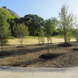 Future Development Site - Old Cat Complex Land