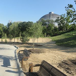 Future Development Site - Old Cat Complex Land