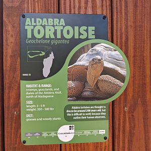 New Aldabra Tortoise signage