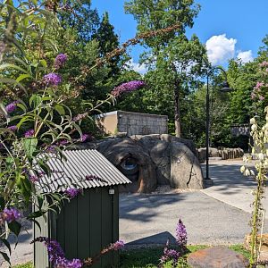 View of Animal Discovery Plaza