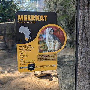 New Meerkat signage
