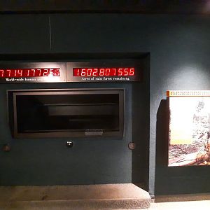 Deforestation Display