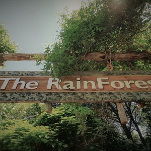 The RainForest sign