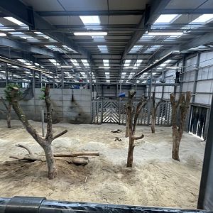 Asian Elephant Indoor Facility