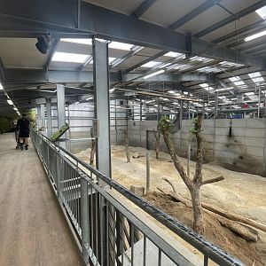 Asian Elephant Indoor Facility