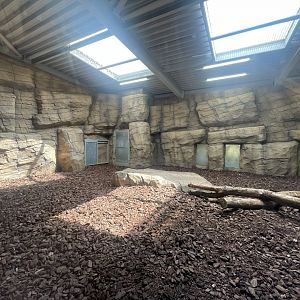 Lion Indoor Facility