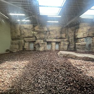 Amur Tiger Indoor Facility