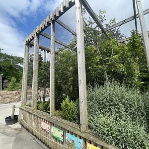 Asian Songbird Aviaries
