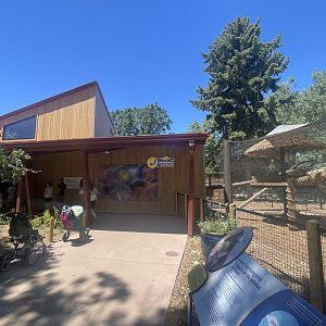 Tree Kangaroo Exhibits