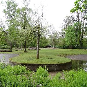 Asian hoofstock enclosure