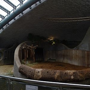 Rhino house; rhino indoor enclosure #1