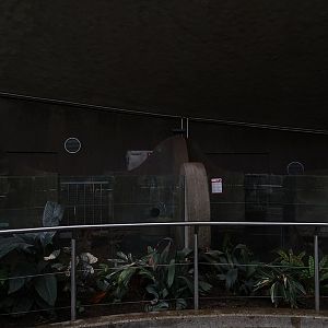 Rhino house; warty pig indoor enclosure