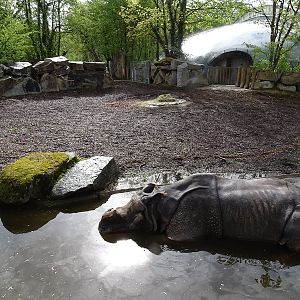 Rhino enclosure