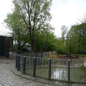 Visayan warty pig enclosure