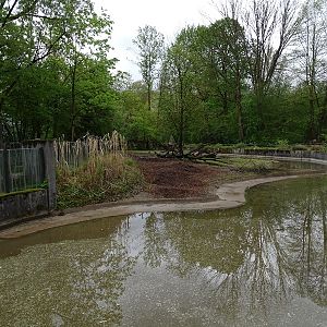 Visayan warty pig enclosure