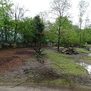 Visayan warty pig enclosure