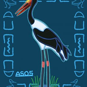 Saddle-Billed Stork