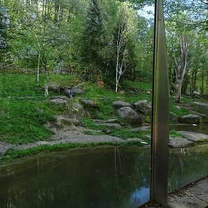 Polar bear enclosure #1