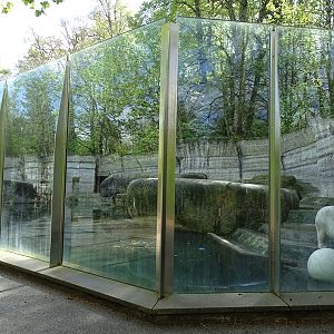 Polar bear enclosure #2