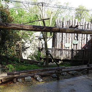 Snowy owl walk-through aviary
