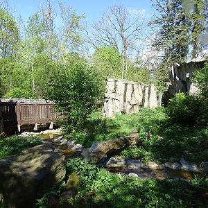Arctic fox enclosure