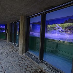 Subantarctic penguin enclosure (under construction)