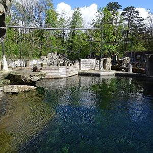Sea lion enclosure