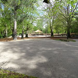 Savannah enclosure first half (under construction)