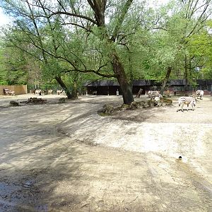 Savannah enclosure second half