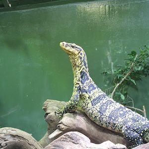 Philippine Water Monitor - 6/4/2024