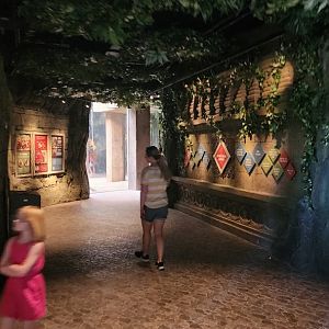 Hubbard Orangutan Forest