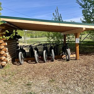 Fat tire bikes for rent