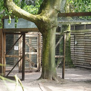 Show bird housing area near the Freiflughalle, 2024-05-21