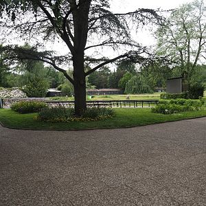 Bird show area, 2024-05-21