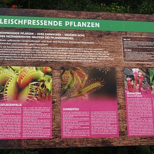 Carnivorous plants sign, 2024-05-21