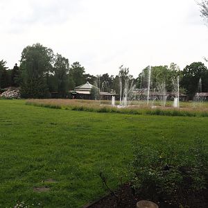 Meadow, Pond wit fountains and rose gardens, 2024-05-21