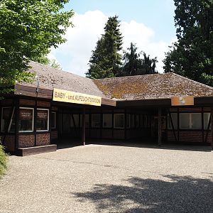 Baby -und Aufzuchtstation (Main nursery), 2024-05-23