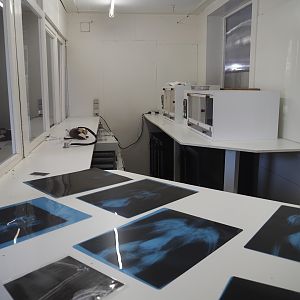 Baby -und Aufzuchtstation (Main nursery) - Medical and incubator room, with display of bird X-rays, 2024-05-21