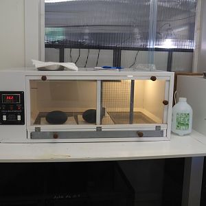 Baby -und Aufzuchtstation (Main nursery) - Medical and incubator room - Incubator with emu eggs, 2024-05-21