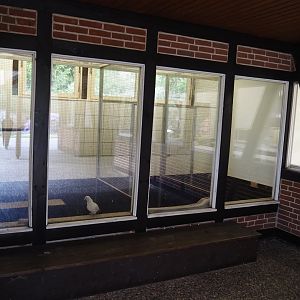 Baby -und Aufzuchtstation (Main nursery) - Aviaries for young birds, 2024-05-21